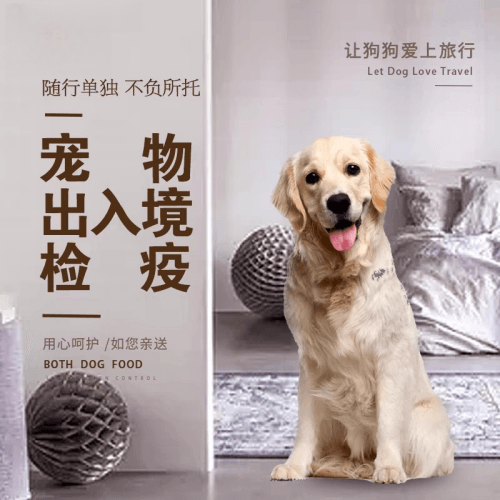东丽区宠物托运到哥伦比亚猫狗宠物入境规定和