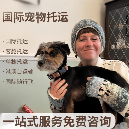 东丽区国际宠物托运到阿根廷宠物入境规定和要