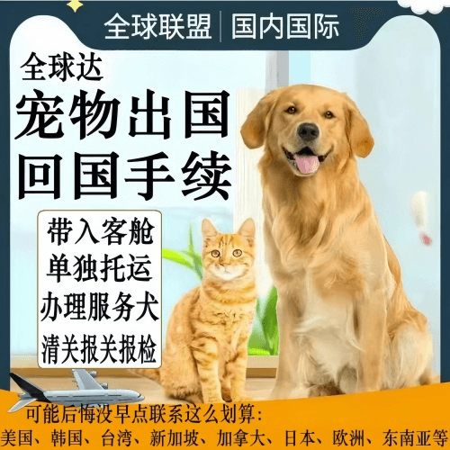 东丽区宠物托运到柬埔寨宠物入境规定和要求