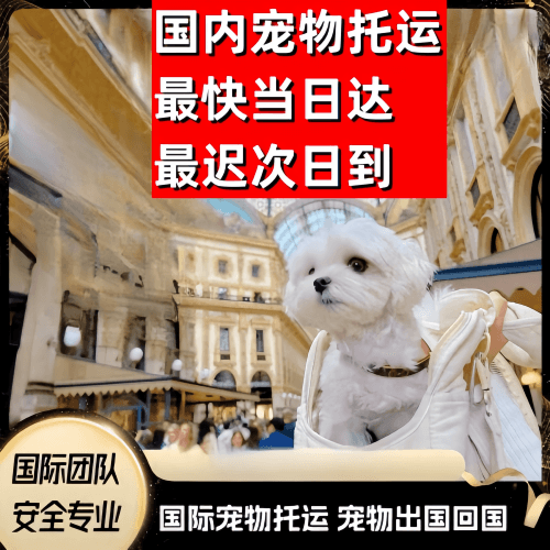 东丽区到澳大利亚（澳洲）宠物入境规定和要求