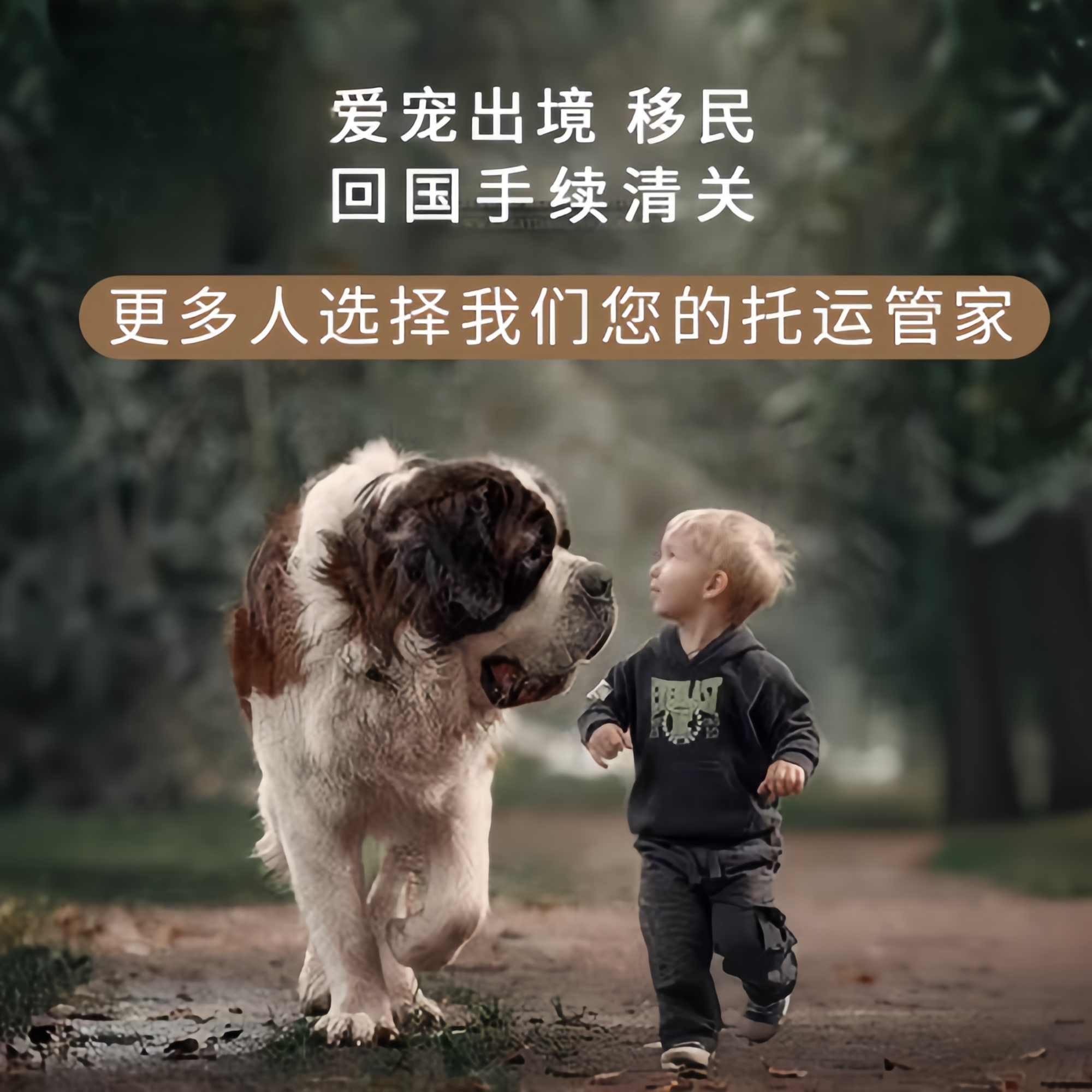 满财东丽区宠物全球达宠物托运在遵守入境目的地政策的条件