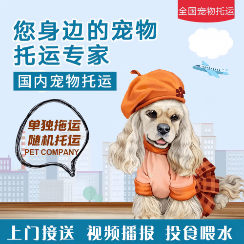 满财东丽区宠物全球达宠物托运作为专业的宠物运输代理机构